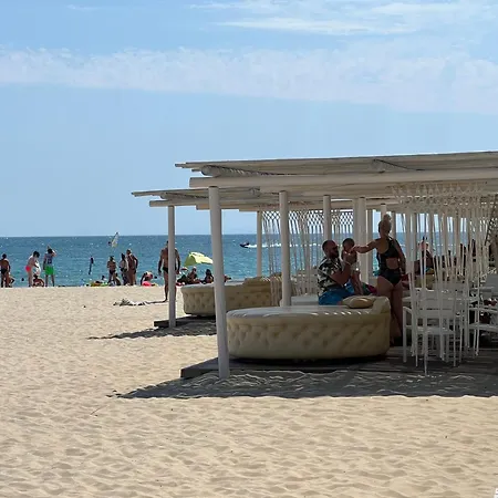 Phoenix феникс *