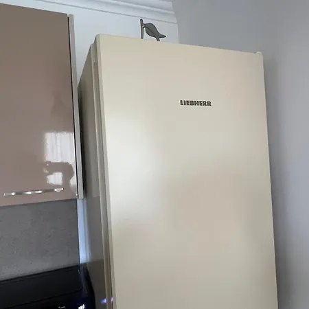 Phoenix феникс Apartamento