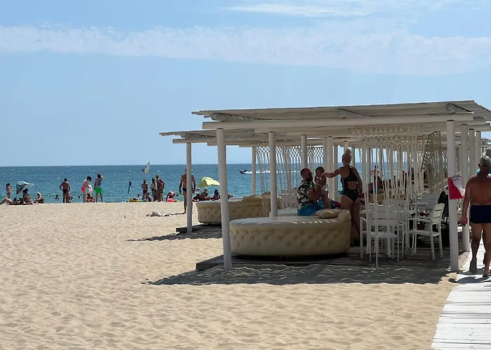 Phoenix феникс *