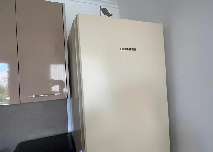 Phoenix феникс Appartement